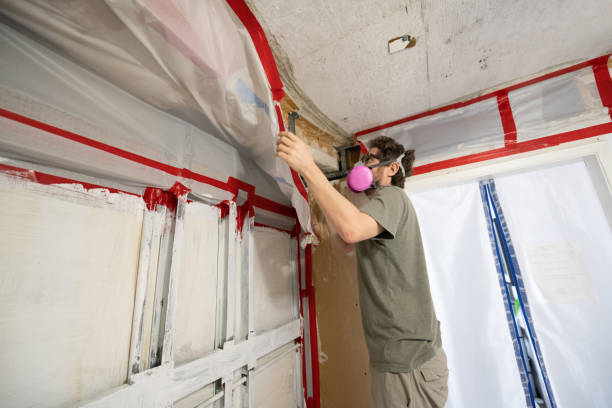 Mold Remediation for Vacation Homes in Newton, MA