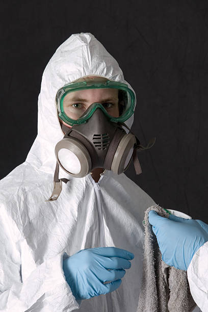 Best Mold Remediation for Vacation Homes  in Newton, MA